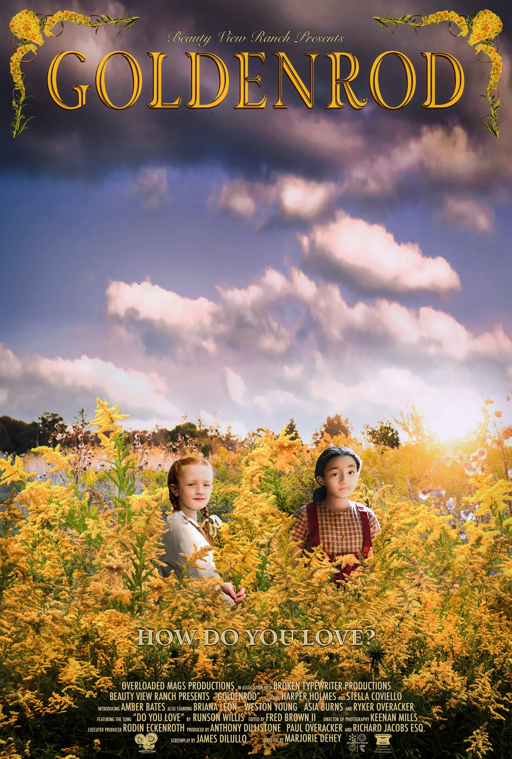 Goldenrod, filmed at Beauty View Farm